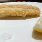 commedia - 穴子のセモリナ粉フリット