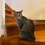 ペンション ひみつ基地 - 