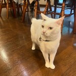 ペンション ひみつ基地 - 