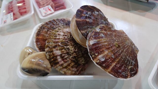 サン・フィッシュ釜石 - 釜石（その他）の写真