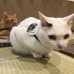 ペンション ひみつ基地 - 