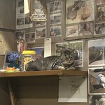 ペンション ひみつ基地 - 