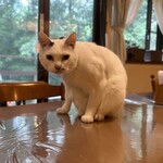 ペンション ひみつ基地 - 