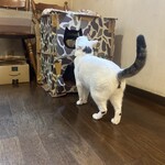 ペンション ひみつ基地 - 