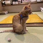 ペンション ひみつ基地 - 