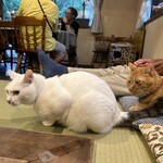 ペンション ひみつ基地 - 