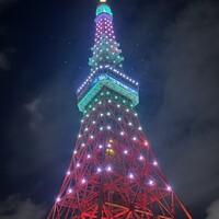 ワカヌイ グリル ダイニング バー 東京 - 
