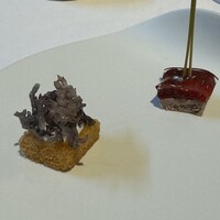 モトイ - 