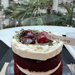 FOREST OUTINGS 포레스트아웃팅스 - 