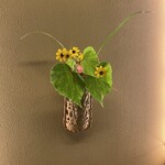 黒茶屋 - お部屋に飾られた向日葵