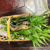 黒茶屋 - 鮎
