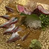 魚ト肴いとおかし