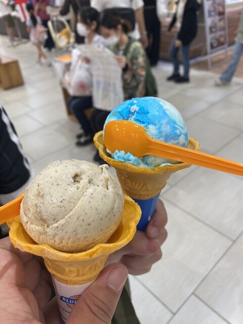 ブルーアイズ韓国版プリズマ3枚 韓国語版〕青眼の白龍、ブラックマジシャン【プリズマティック