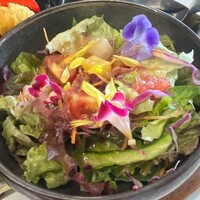 TRATTORIA KIKUYA - 
