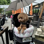 クッチーナ デル カンポ - 日当たり抜群のテラス席