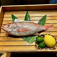 のどぐろ専門 銀座中俣 はなれ - 