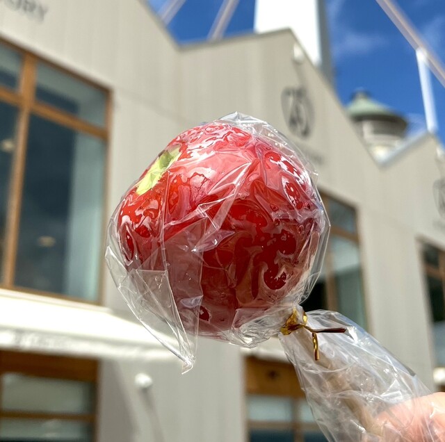 A-BossA（エー ボッサ） - 青森（オムライス）の写真