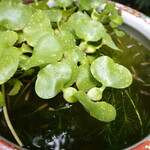 小ノ孝 - 小さくても水が庭にあると落ち着きます。