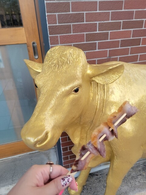 HOSHINIKU STORE ibushigin （ホシニク ストア イブシギン） - 津山