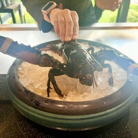 FRENCH TEPPAN静香庵 別邸涵養荘 - 