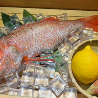 のどぐろ専門 銀座 中俣 - 