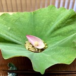 緒方 - 茄子素麺