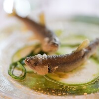 アルテリーベ - 