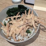 粉吉うどん - 冷やしごぼう天　680円