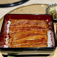 うなぎ 目白ぞろ芽 - 