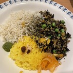 カレーレストラン シバ - 