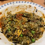 カレーレストラン シバ - 