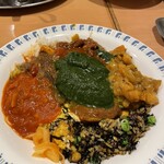 カレーレストラン シバ - 