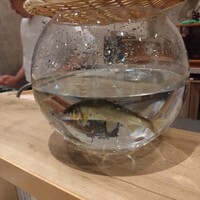 和創ふんりんかん ぎり - 