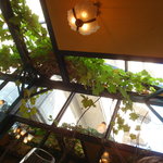 コジト - ぶどうの葉が綺麗です。