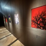 KEI Collection PARIS - 