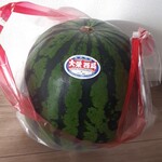 鳥取中央農業協同組合 - 料理写真:大栄 西瓜
