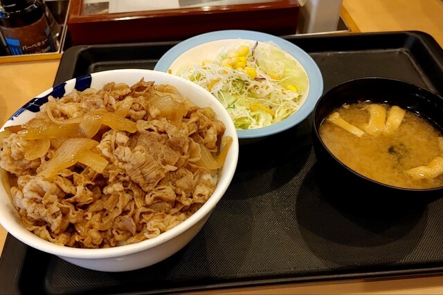 Matsuya Nishikamata Ten