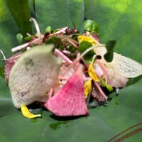 鮨 青海 北新地 - 