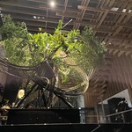 中国料理 星ヶ岡 - 