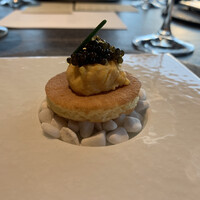 International cuisine subzero - 