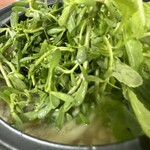 Bánh canh cá lóc Nồi Đất - 豆苗入ってます