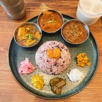 Curry Spice Gelateria KALPASI - 