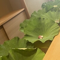 米増 - 