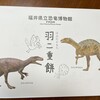 福井県立恐竜博物館  ミュージアムショップ
