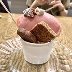 MADRE - プラムとアマゾンカカオのジェラート