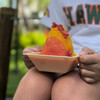 Island Vintage Shave Ice