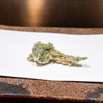 くすのき - こごみ