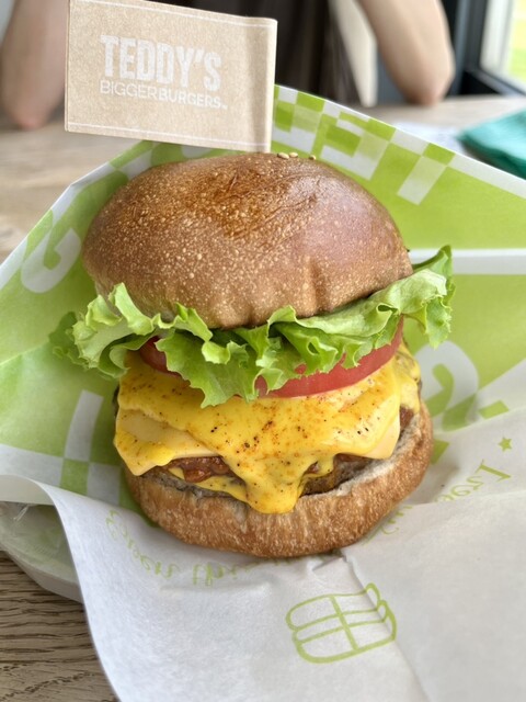 テディーズ ビガー バーガー 日向市金ヶ浜店 （TEDDY'S BIGGER
