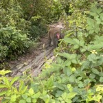 そば処 時遊庵 あさかわ - 