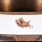 くすのき - 蛍烏賊